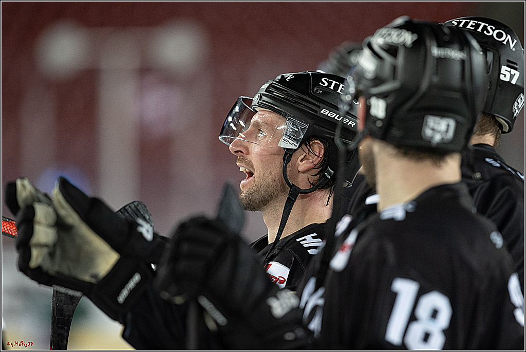 PENNY DEL;  Koelner Haie - Augsburger Panther; Koeln, 08.01.2023